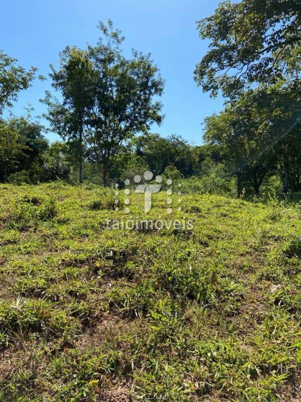 Fazenda à venda na BAIRROREGIÃO - 999-130742-9.jpg