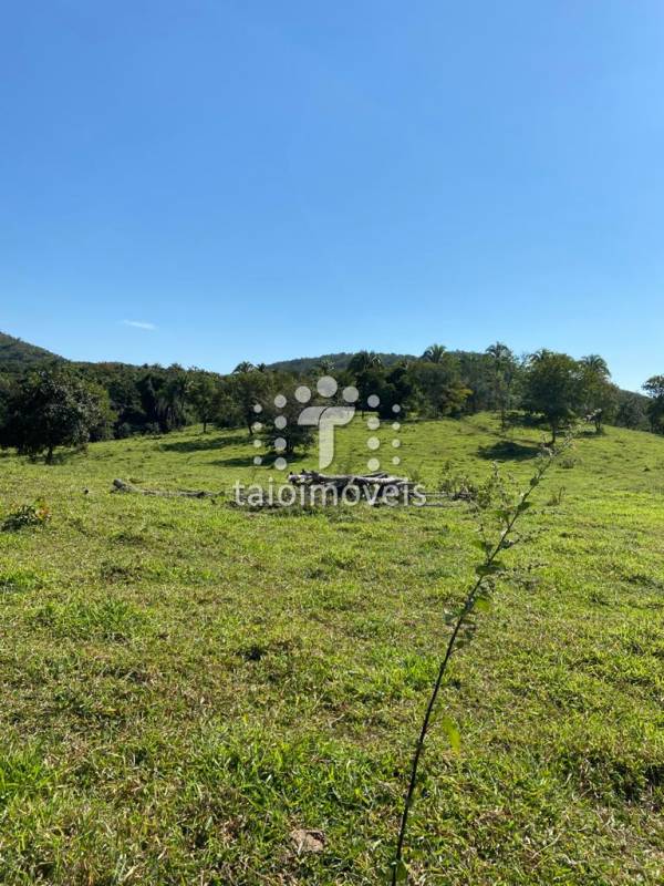 Fazenda à venda na BAIRROREGIÃO - 999-130743-13.jpg