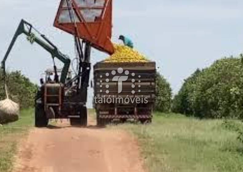 Fazenda venda REGIÃO - Referência TI642