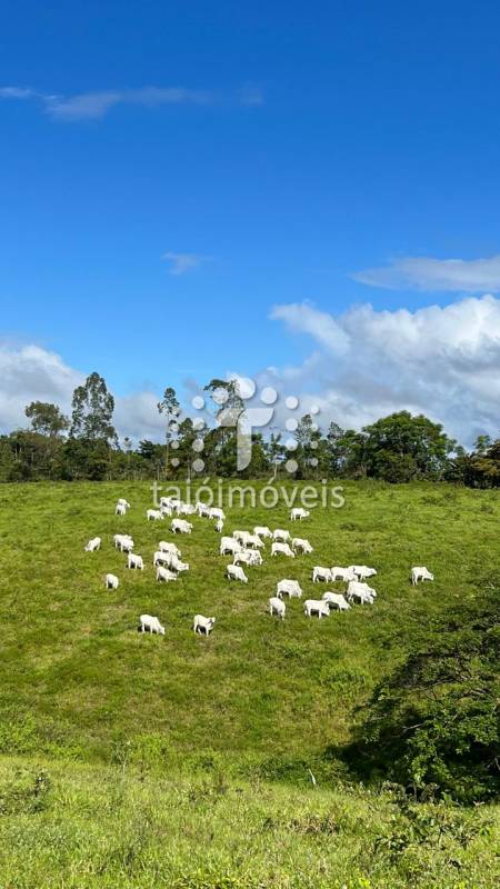 Fazenda à venda na BAIRROREGIÃO - 120548-2.jpg
