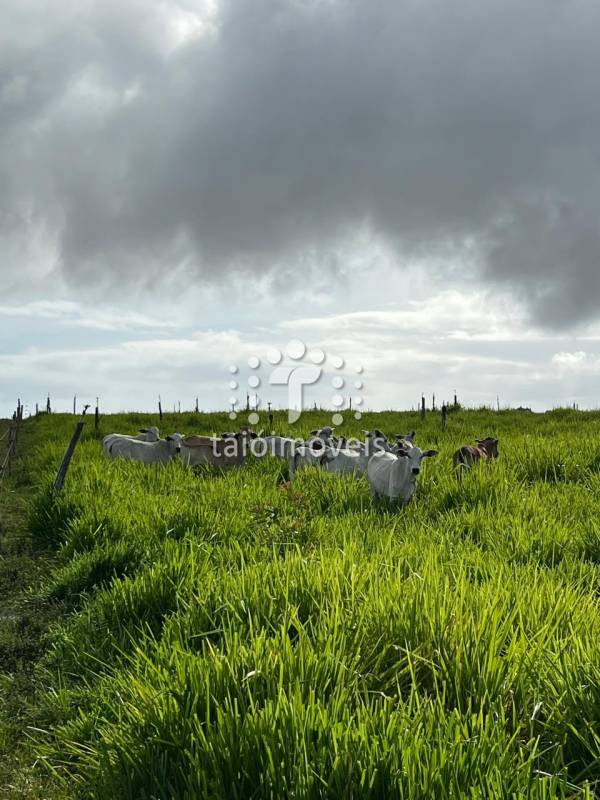 Fazenda à venda na BAIRROREGIÃO - 120548-3.jpg