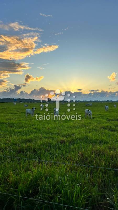 Fazenda à venda na BAIRROREGIÃO - 120549-14.jpg