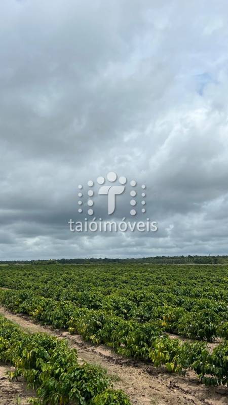 Fazenda à venda na BAIRROREGIÃO - 120549-5.jpg