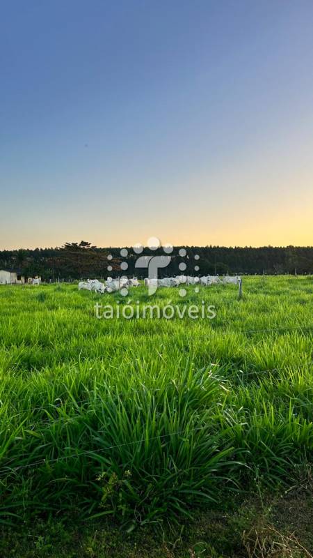 Fazenda à venda na BAIRROREGIÃO - 120549-6.jpg