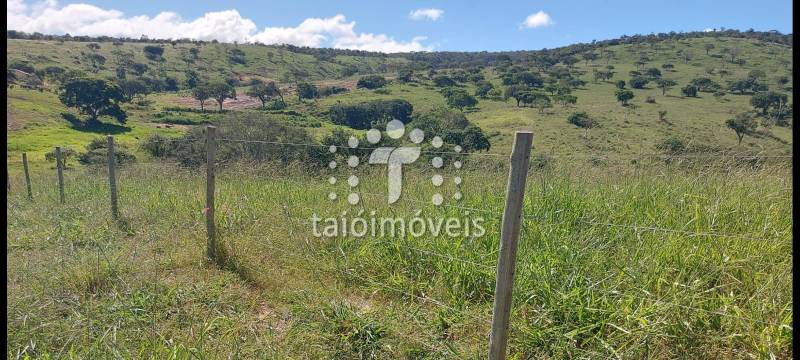 Fazenda venda REGIÃO - Referência TI659