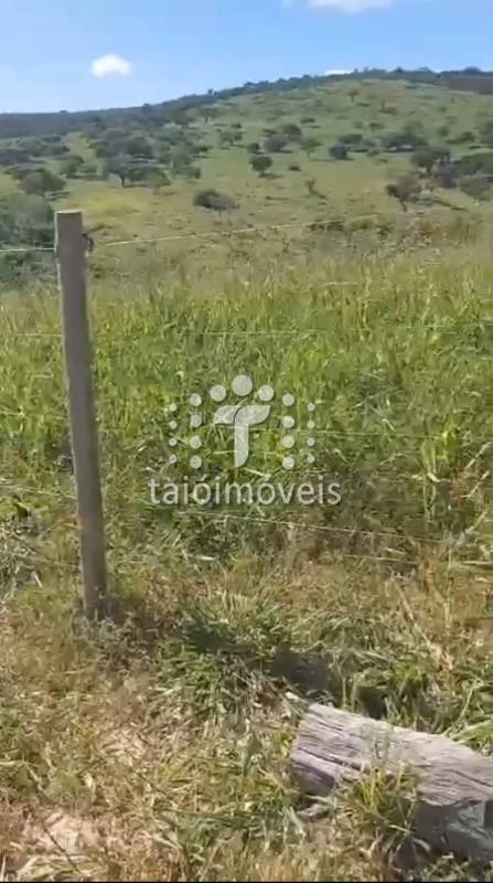 Fazenda à venda na BAIRROREGIÃO - 160139-4.jpg