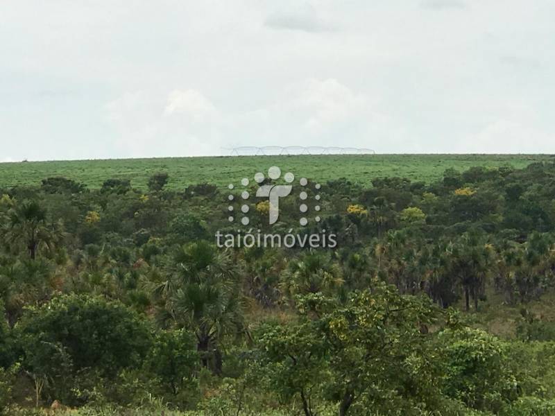 Fazenda venda REGIÃO - Referência TI679