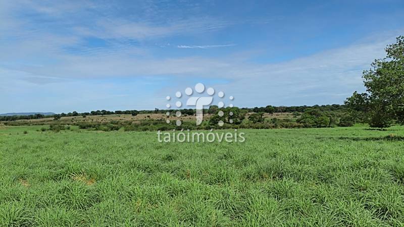 Fazenda venda REGIÃO NORTE DE MINAS - Referência TI691