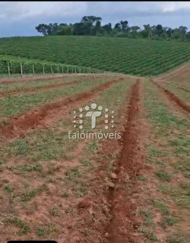 Fazenda venda REGIÃO - Referência TI696