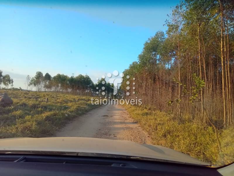 Fazenda venda REGIÃO - Referência TI702