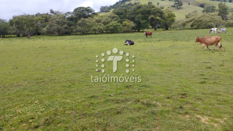 Sítio venda REGIÃO - Referência TI705