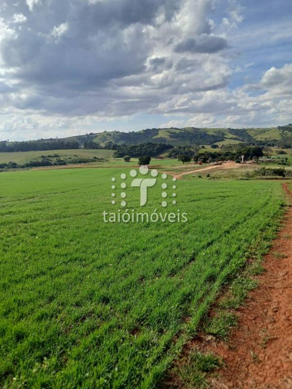 Fazenda venda REGIÃO - Referência TI708