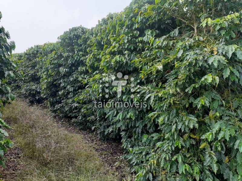 Fazenda à venda na BAIRROREGIÃO - 112126-0.jpeg