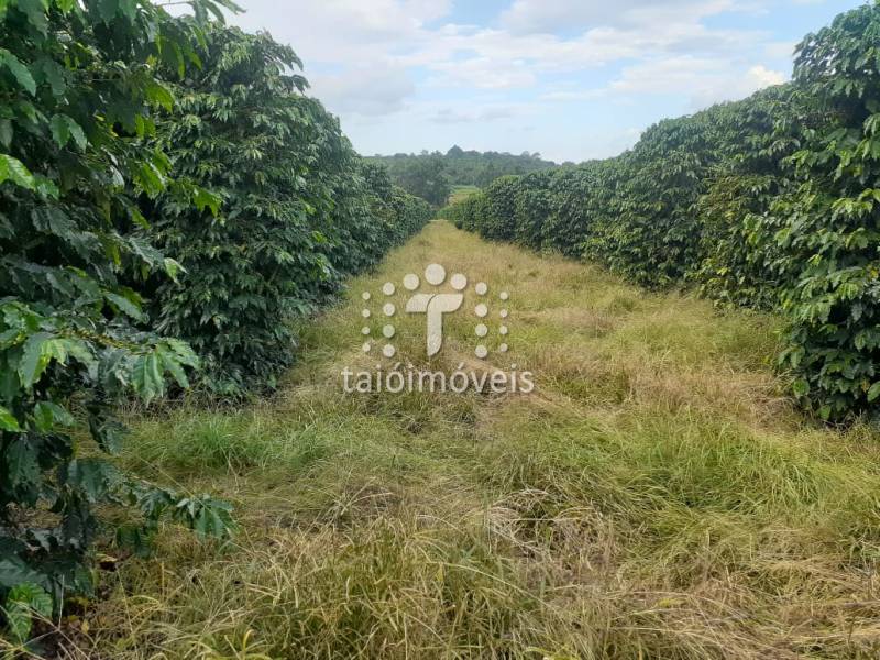Fazenda à venda na BAIRROREGIÃO - 112126-1.jpeg