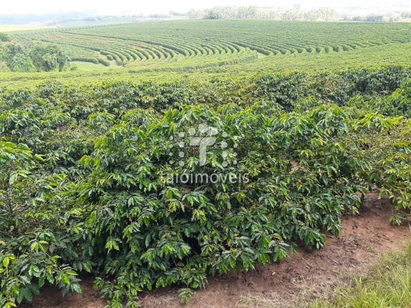 Fazenda venda REGIÃO Franca - Referência TI710