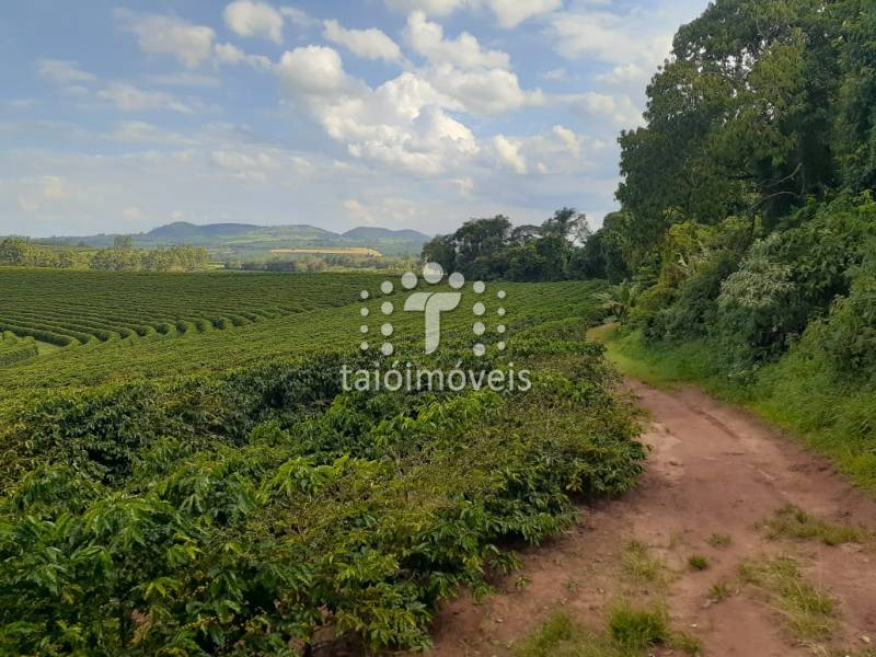 Fazenda à venda na BAIRROREGIÃO - 112126-4.jpeg