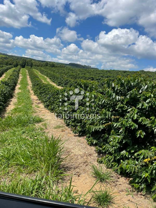 Fazenda Código TI712