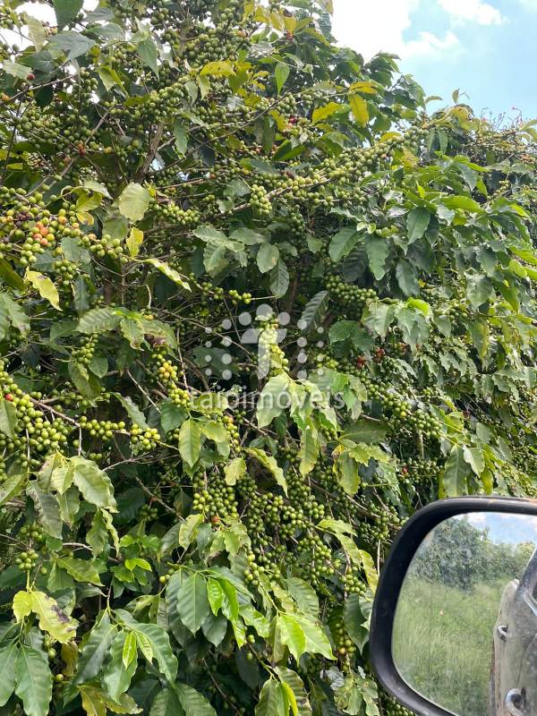 Fazenda à venda na BAIRROREGIÃO - 120435-3.jpeg