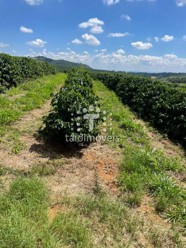 Fazenda à venda na BAIRROREGIÃO - 120435-4.jpeg