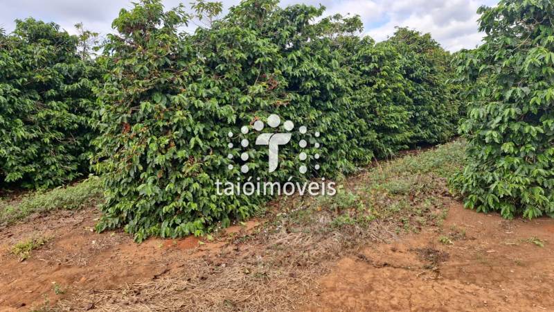 Fazenda à venda na BAIRROREGIÃO - 142551-3.jpeg