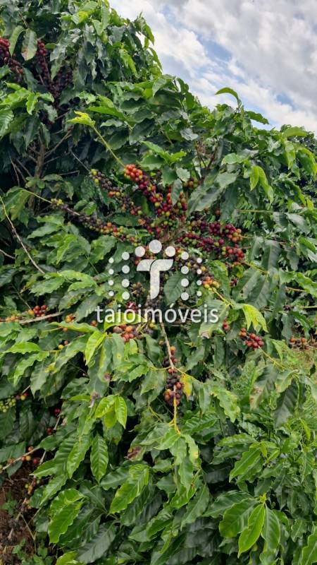 Fazenda à venda na BAIRROREGIÃO - 142551-4.jpeg