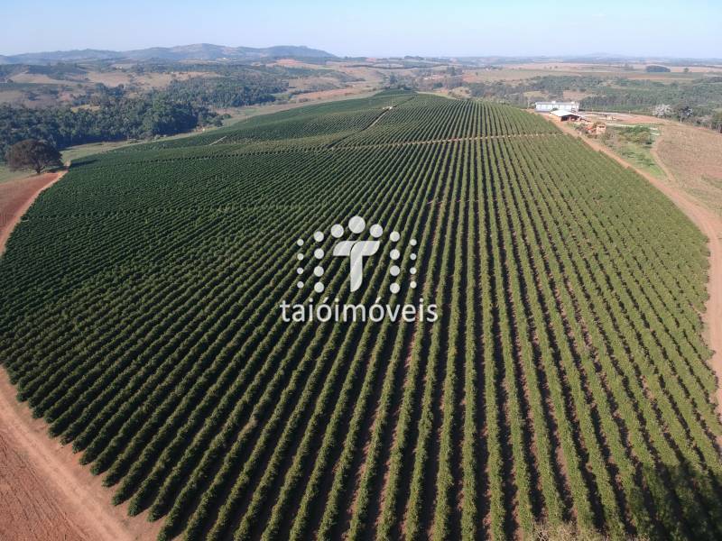 Fazenda venda REGIÃO - Referência TI713