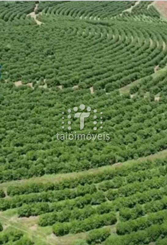 Fazenda à venda na BAIRROREGIÃO - 142229-0.jpeg