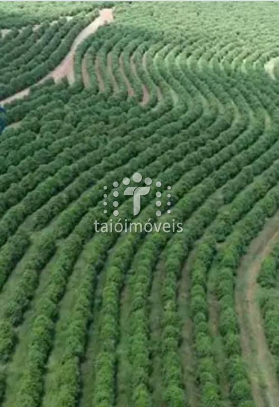 Fazenda à venda na BAIRROREGIÃO - 142229-2.jpeg