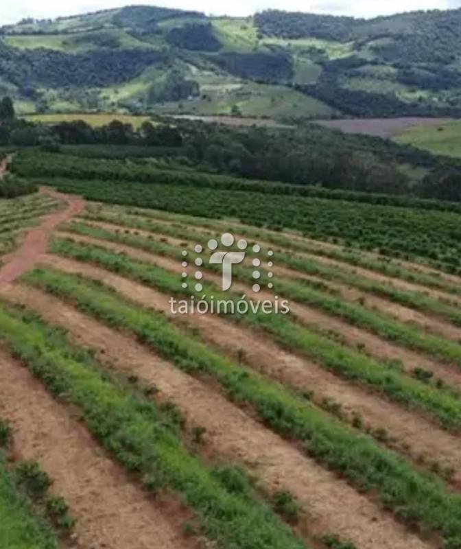 Fazenda à venda na BAIRROREGIÃO - 142229-3.jpeg
