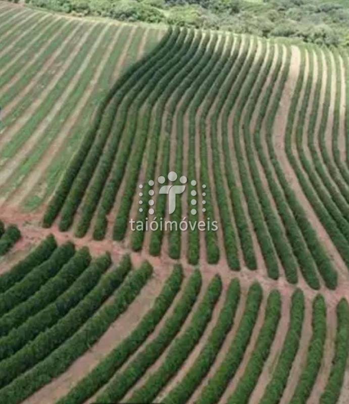 Fazenda à venda na BAIRROREGIÃO - 142229-4.jpeg