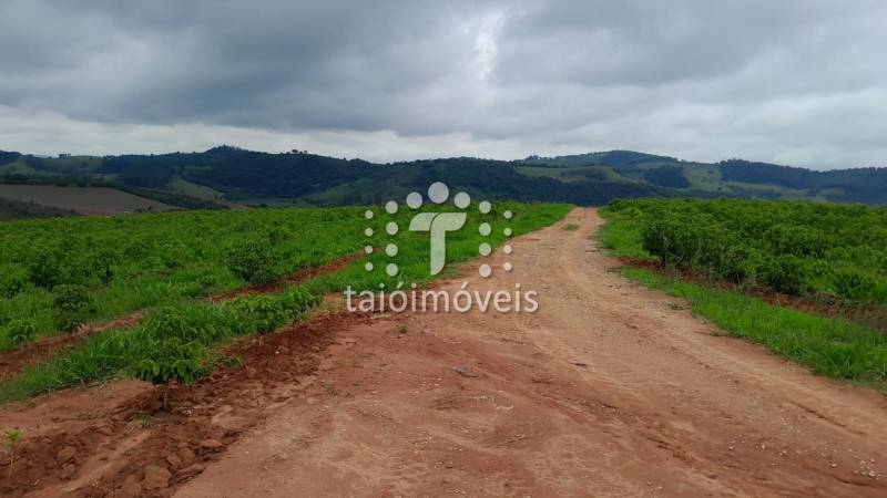 Fazenda à venda na BAIRROREGIÃO - 142231-16.jpeg