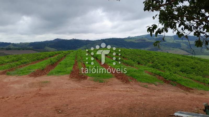 Fazenda à venda na BAIRROREGIÃO - 142231-17.jpeg