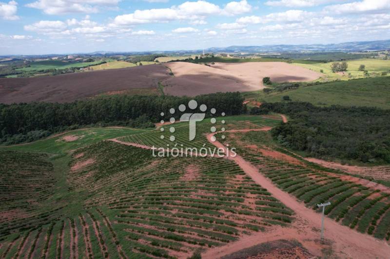 Fazenda à venda na BAIRROREGIÃO - 142232-23.jpeg