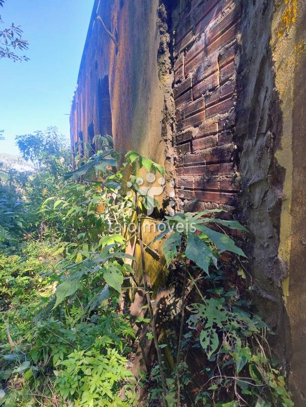 Casa Térrea à venda na BAIRROREGIÃO - 141518-3.jpeg