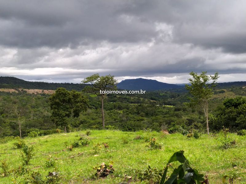 Fazenda venda REGIÃO Moiporá - Referência TI86